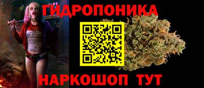 твердый Можга